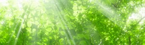 company_img001